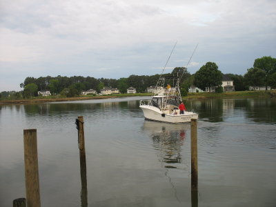 IMG_4311.JPG