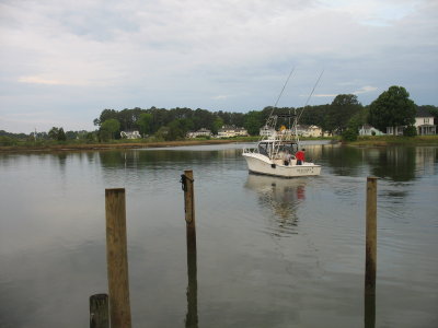 IMG_4312.JPG