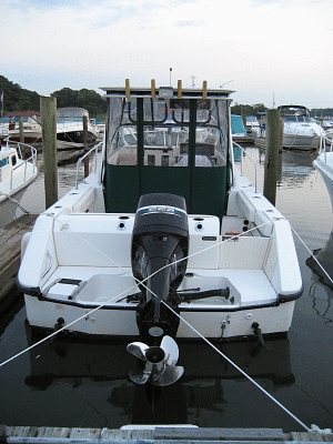Boston Whaler Conquest at high tide
