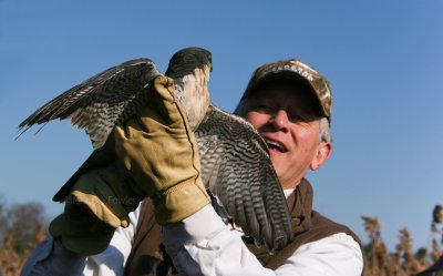 12-22-09 falcon release rs 1193.jpg