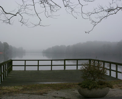 12-31-09 fog at NBG 1288.jpg