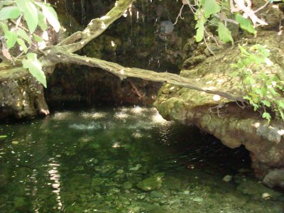 Bath of Aphrodite