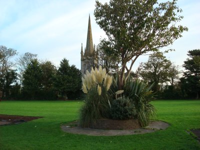 School grounds