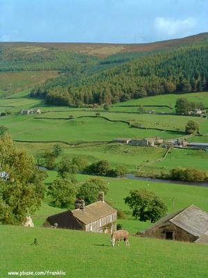 Yorkshire Country View