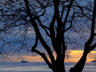 Golden Ray over English Bay