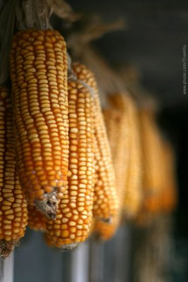 Rural Beijing