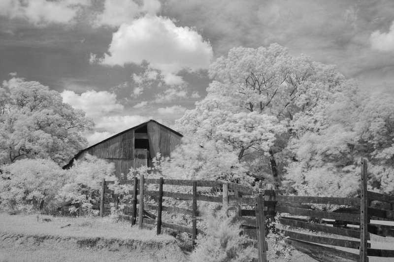 barn and fence ir x1000.jpg