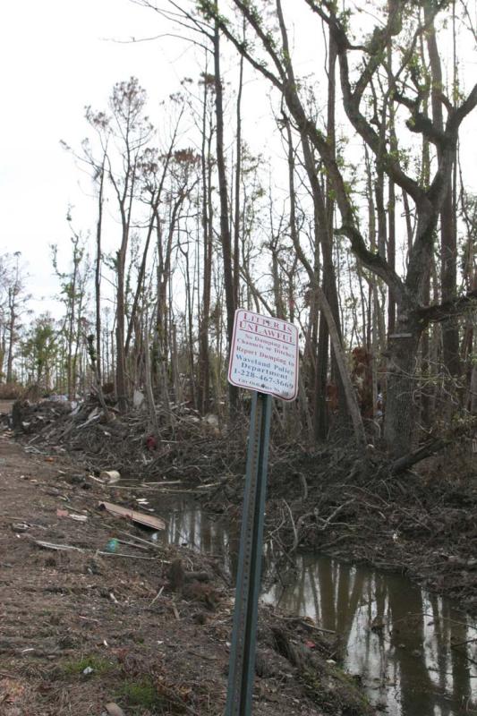 no littering.JPG
