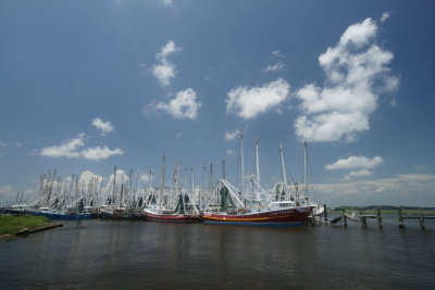 g3/14/503414/3/124911037.e6cugpC4.jpg
