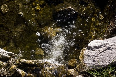 California & Arizona - March