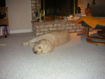 and kona sleeping on the floor...again