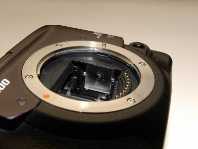 Olympus E-300 with KatzEye focusing screen