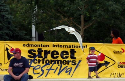 IMG_8729.JPG