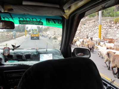 IMG_2702 Traffic in Arequipa Feb 10