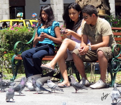 2010_03_13 Scenes at Plaza de Armas