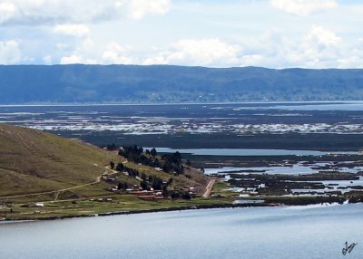 Crop of Puno Panorama