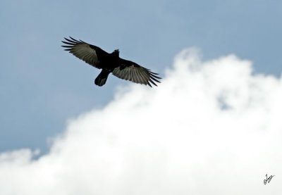IMG_6400.JPG
