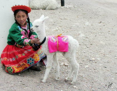 2008 Peru: bus to Puno