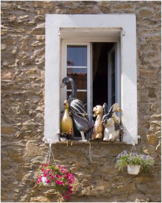 Window Pets