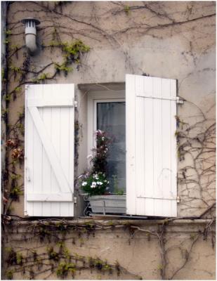 White Shutters