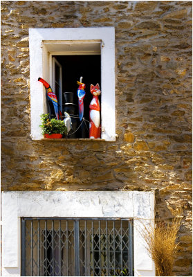 Birds & Cat window!