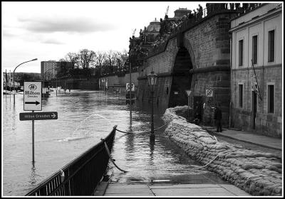 Dresden - Elbe flood: Bruehl Terrace