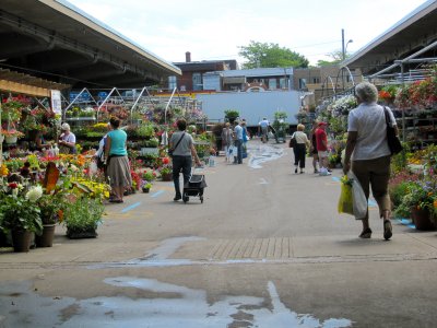 Jean-Talon au printemps.JPG