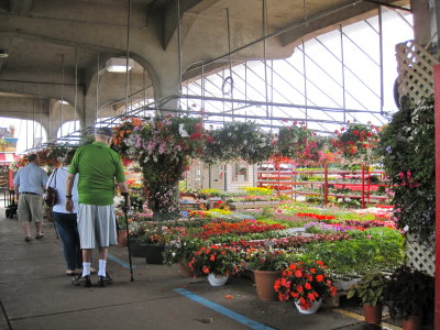 Jean-Talon 27.05.10.JPG