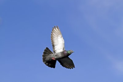 IMG_3052.jpg