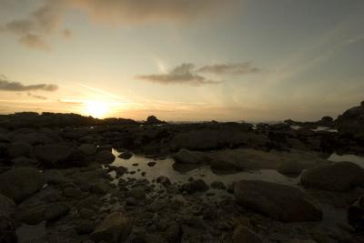 _MG_0266.jpg