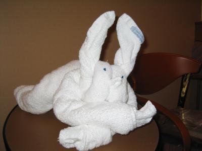  Towel Rabbit