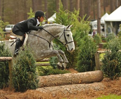 The 94th Annual Aiken Horse Show 2010~Hitchcock Woods Foundation Aiken South Carolina