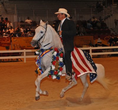PFHA presents the 2007 VIII Mundial Paso Fino World Cup Championship Jacksonville Equestrian Center Jacksonville, Fl