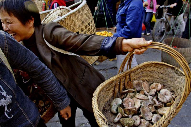Got mushrooms. Jishou City, China.
