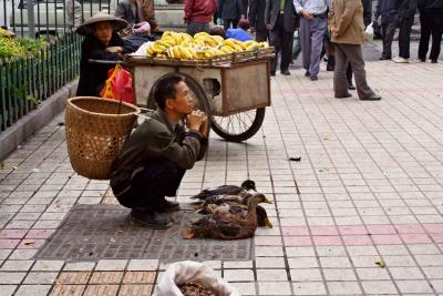 Ducks for sale on sidewalk, an unofficial sidewalk market.