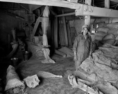 Mill for separating and bagging seed Dali, China.