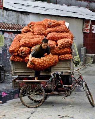 Moving some potatoes. Jishou City, China.
