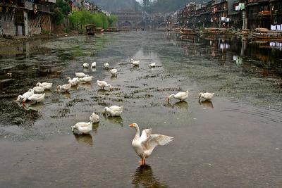 Fenghuang, Hunan Province, China