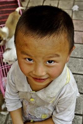 Young boy and puppies