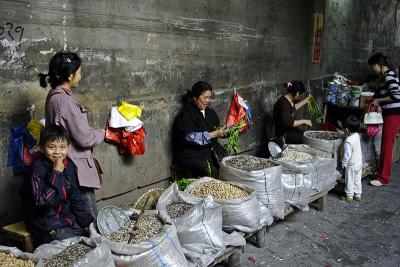 Indoor alley market for peanuts and sunflower seeds, Jishou City, China