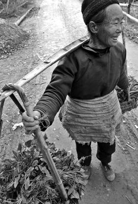 Bringing in vegetables from the field, Panzai, Guizhou Province, China