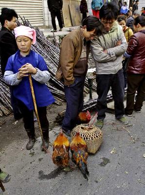 Selling roosters, Guizhou Province, China