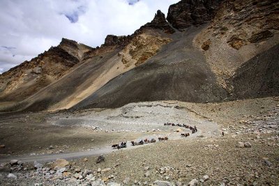 Road to the base camp at Mt. Everest. Horses are used to move people and supplies back and forth.