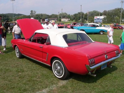 g3/14/672714/3/67119462.AVGY5ATc.jpg