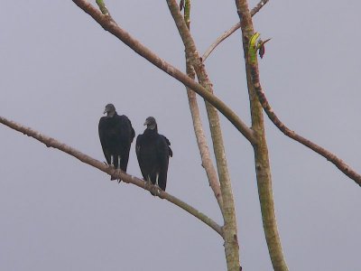 Peru 2008 - 1 1145.JPG