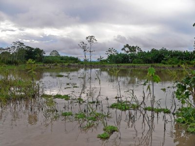 Peru 2008 - 1 1151.JPG