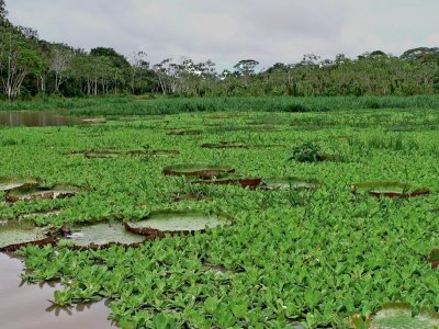 Peru 2008 - 1 1167.JPG