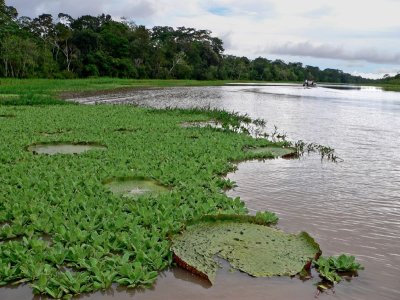 Peru 2008 - 1 1170.JPG