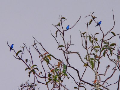 Peru 2008 - 1 1177.JPG