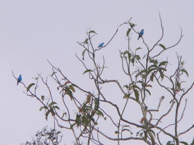 Peru 2008 - 1 1182.JPG